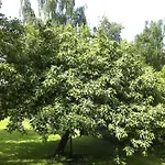 Le Rimamir De Charme Au Bord De L'ambleve