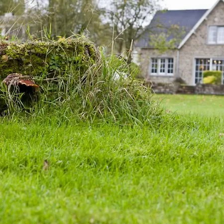 Le Rimamir De Charme Au Bord De L'ambleve *