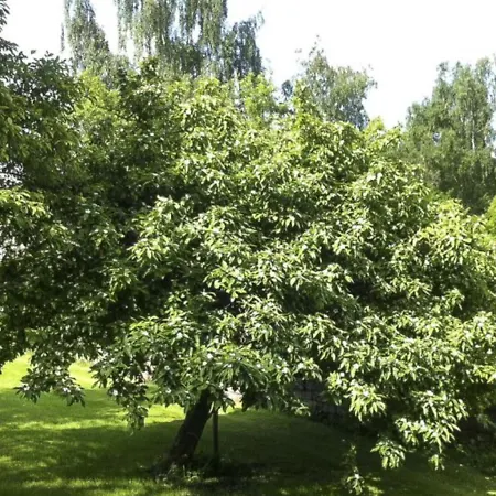 Le Rimamir De Charme Au Bord De L'ambleve
